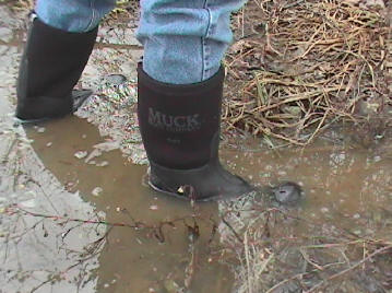 Wetland Muck Boots Sale - Yu Boots